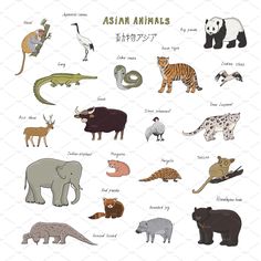 an animal poster with different types of animals