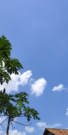 an airplane is flying in the blue sky above a house and tree with green leaves