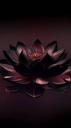 a purple flower floating on top of water