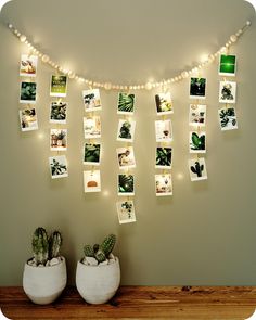 there are many pictures hanging on the wall with lights around them and cactus in pots