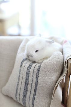 a white hamster is sleeping on a striped pillow in a chair with it's eyes closed