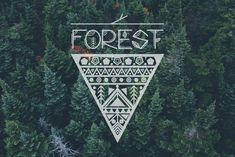 a forest with trees and the words forest on it