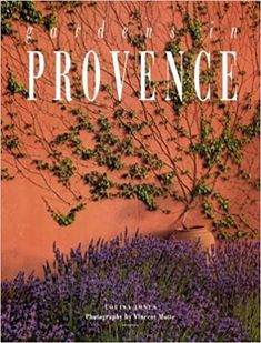 the cover of providence, with purple flowers and vines growing up it's side