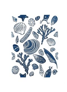 an image of sea shells and plants in blue ink