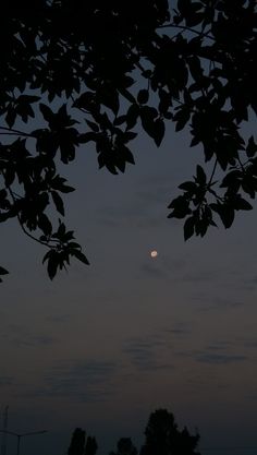 the moon is seen through some trees at night