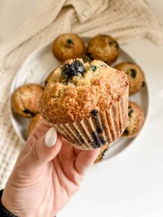 a hand holding a blueberry muffin on a plate