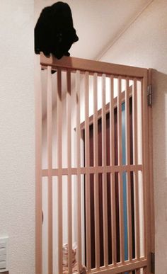 a black cat sitting on top of a wooden gate next to a window in a room