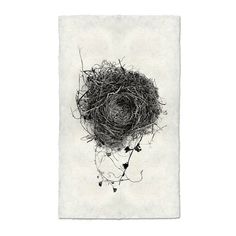 a black and white drawing of a bird's nest