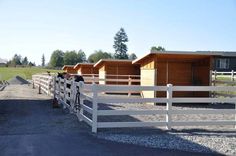 there is a horse that is standing in the fenced off area next to the barn