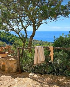 clothes hanging out to dry in the sun on a line with trees and mountains in the background