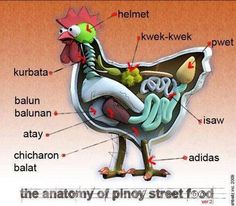 an image of the anatomy of a chicken