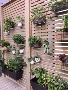 several plants are growing on the side of a wooden slatted wall with black planters