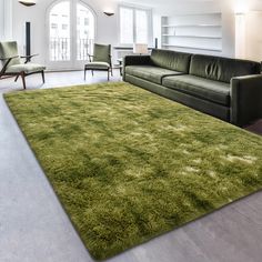 a living room filled with furniture and a green rug