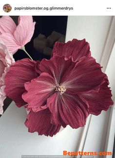 two pink flowers in a white vase on a window sill with the caption,