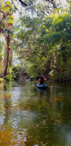 a person in a kayak paddling down a river surrounded by trees and foliage