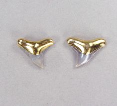 Channel the raw power and beauty of the ocean with a pair of our exquisite shark tooth stud earrings, a stunning piece with a connection to nature. Product Features: Authentic Fossil Shark Teeth: Hand-selected for their quality and stunning hues. Many of the teeth we use are from famous localities known for high-quality teeth such as Lee Creek, Bone Valley, Venice Beach, and the Chandler Bridge Formation. Durable Electroformed 18kt Gold: Each piece we create is electroformed with a heavy layer o Shark Jewelry, Shark Tooth Pendant, Spiral Shell, Shark Earrings, Shark Tooth Necklace, Fossil Jewelry, Tooth Necklace, Ocean Jewelry, Shark Tooth