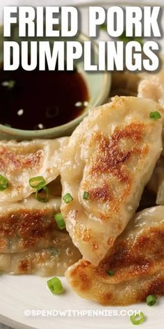 fried pork dumplings on a plate with dipping sauce