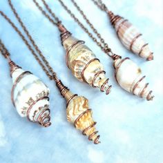 three seashells are shown on a chain