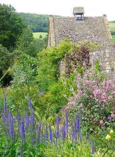 an old stone building surrounded by flowers and greenery in the foreground is a field full of trees