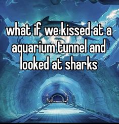 a tunnel with the words what if we kissed at a aquarium tunnel and looked at sharks