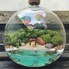 there is a glass bowl with some plants in it on the table next to a bench