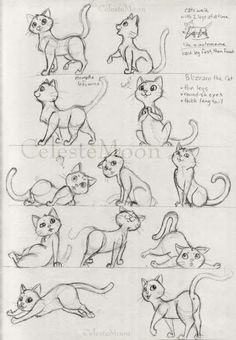 some drawings of cats that are in different positions and sizes, including one cat with its tail