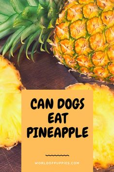 two pineapples with the words can dogs eat pineapple