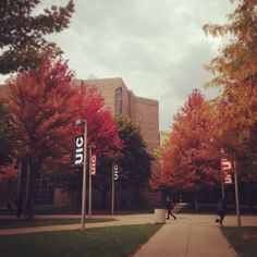 two people walking down a sidewalk in front of trees with red and yellow leaves on them