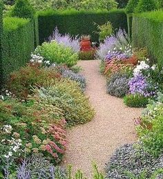 a garden filled with lots of different types of flowers