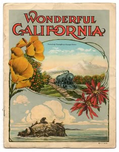 an old book cover with flowers and a train on the tracks in the background,