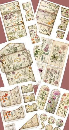 an assortment of flowers are shown in this image, including the labels and envelopes