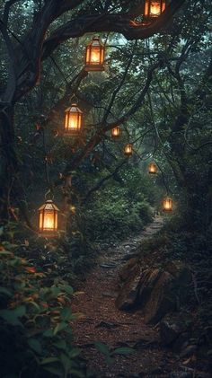 lanterns are hanging from trees in the woods