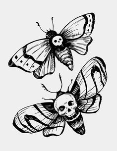 two butterflies with skulls on their wings