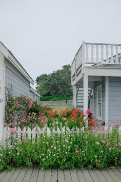 flowers are blooming in front of two houses