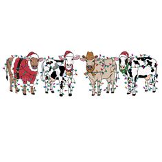 three cows wearing christmas lights on their backs