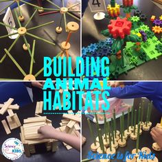 building animal habitats made from wooden pegs and construction blocks with text overlay reading building animal habitats