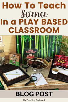 a table topped with books and papers on top of it next to a bamboo plant