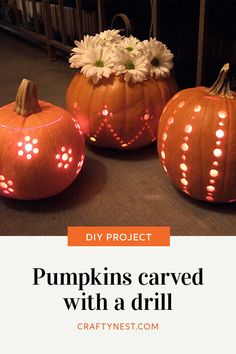 three pumpkins carved with a drill and some daisies on the table in front of them