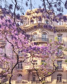 a large building with purple flowers on the trees