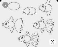 four fish with different shapes and sizes