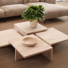 a living room with couches, coffee table and potted plant on the floor