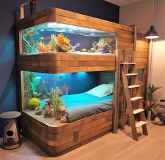 a room with a bunk bed that has an aquarium in it