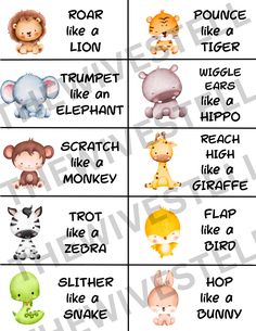 the different types of animals that can be used to describe their names in english and spanish