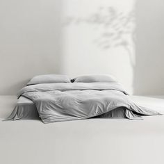 an unmade bed in a white room with a plant on the wall behind it