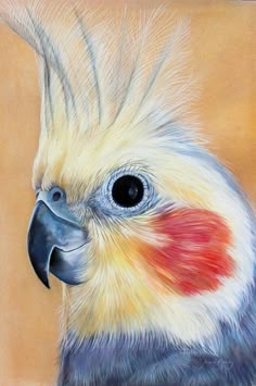 a painting of a colorful parrot's face