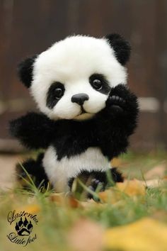 a small stuffed panda bear sitting in the grass