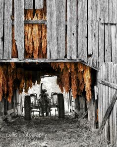 an old barn with many things hanging from it