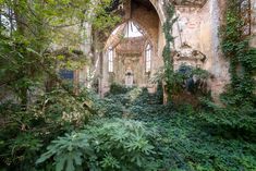 the house is surrounded by trees and flowers