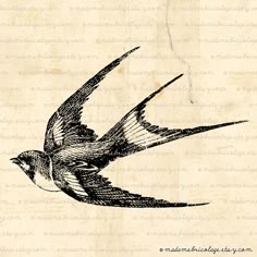 a drawing of a bird flying in the sky