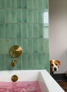 a bathtub with pink water in it and a dog looking at it from behind